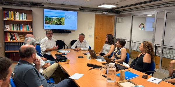 EL CONSELL COMARCAL DE L'ALT PENEDÈS FORMA ELS TÈCNICS MUNICIPALS SOBRE LES NOVES OPORTUNITATS DEL DECRET LLEI 6/2026 PER ALS MUNICIPIS RURALS