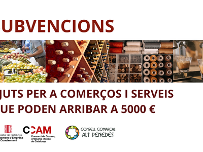 EL CONSELL COMARCAL DE L’ALT PENEDÈS AJUDA A TRAMITAR ELS AJUTS PER A COMERÇOS I SERVEIS QUE PODEN ARRIBAR A 5000 EUROS
